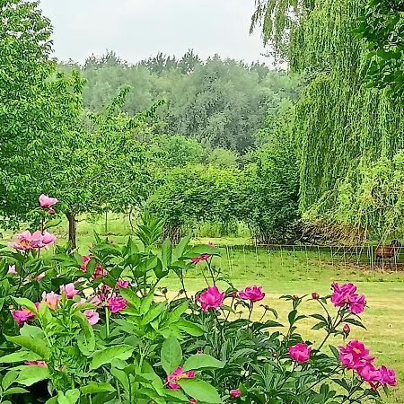 Les Chambres Du Vert Galant Rez De Jardin Verlinghem المظهر الخارجي الصورة