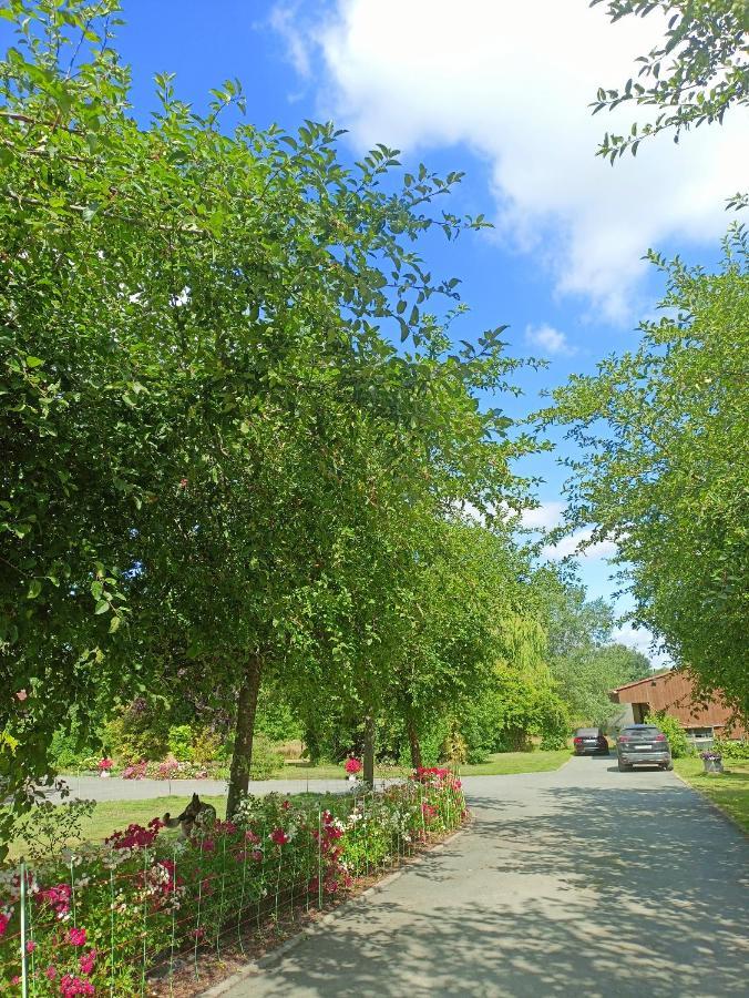 Les Chambres Du Vert Galant Rez De Jardin Verlinghem المظهر الخارجي الصورة