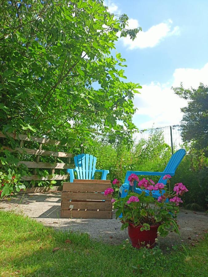 Les Chambres Du Vert Galant Rez De Jardin Verlinghem المظهر الخارجي الصورة