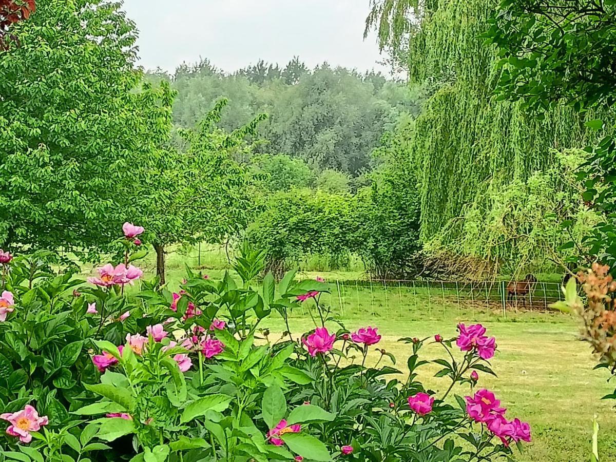 Les Chambres Du Vert Galant Rez De Jardin Verlinghem المظهر الخارجي الصورة