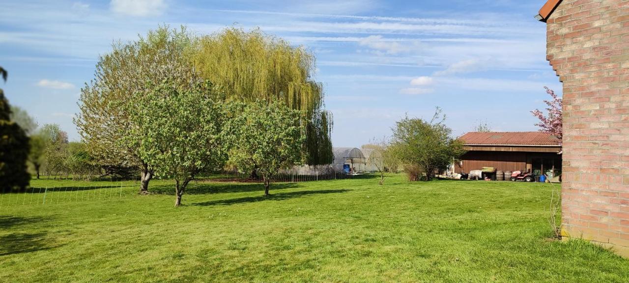 Les Chambres Du Vert Galant Rez De Jardin Verlinghem المظهر الخارجي الصورة